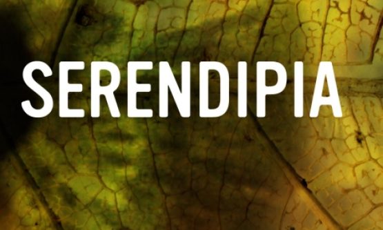 Serendipia